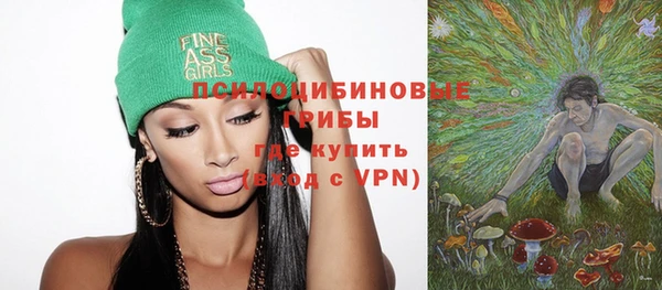 ПСИЛОЦИБИНОВЫЕ ГРИБЫ Абаза