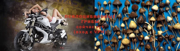 ALPHA PVP Абинск