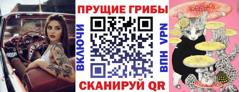 Псилоцибиновые грибы Cubensis  ОМГ ОМГ как зайти  Фёдоровский 